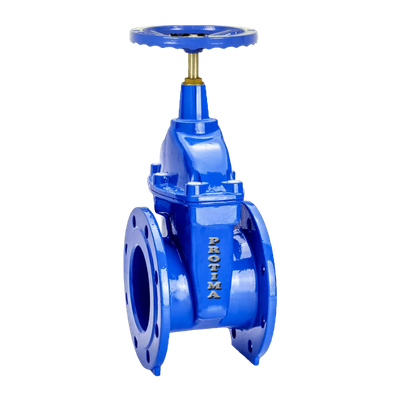 Resilient Seated Gate Valve