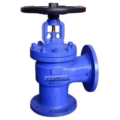 Globe Valve